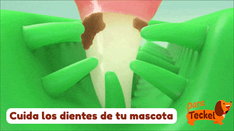 Mordedor LIMPIADIENTES para tu perro - Galería 4