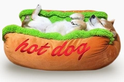 Cama de Perrito Caliente HOTDOG - Galería 3