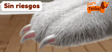 ✅ La SOLUCIÓN para cortar las UÑAS a tu perro - Galería 3