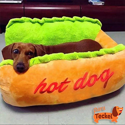 Teckel feliz en su cama